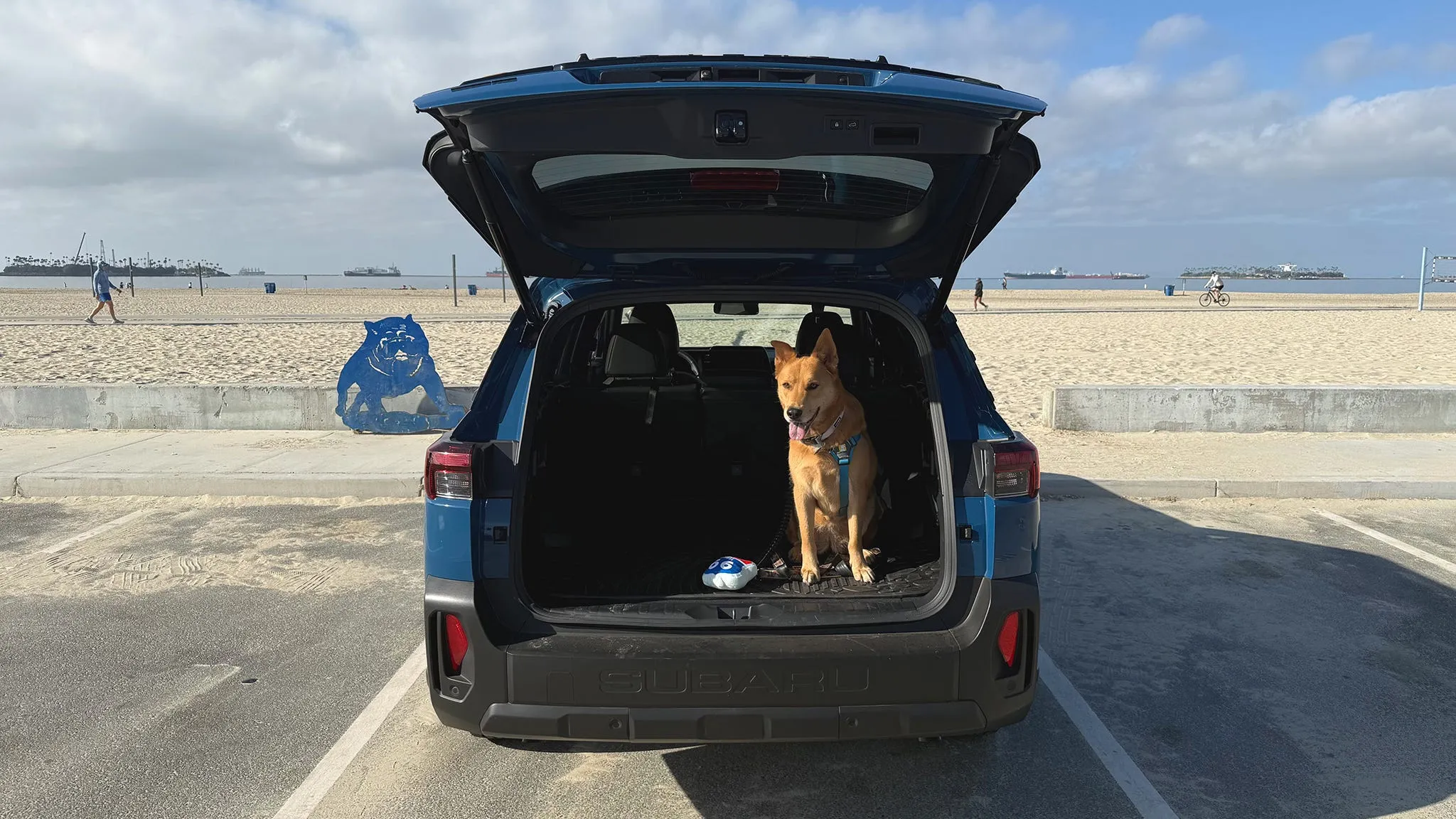 2026 Subaru Outback Wilderness features hidden Easter eggs including dog-friendly cargo guides
