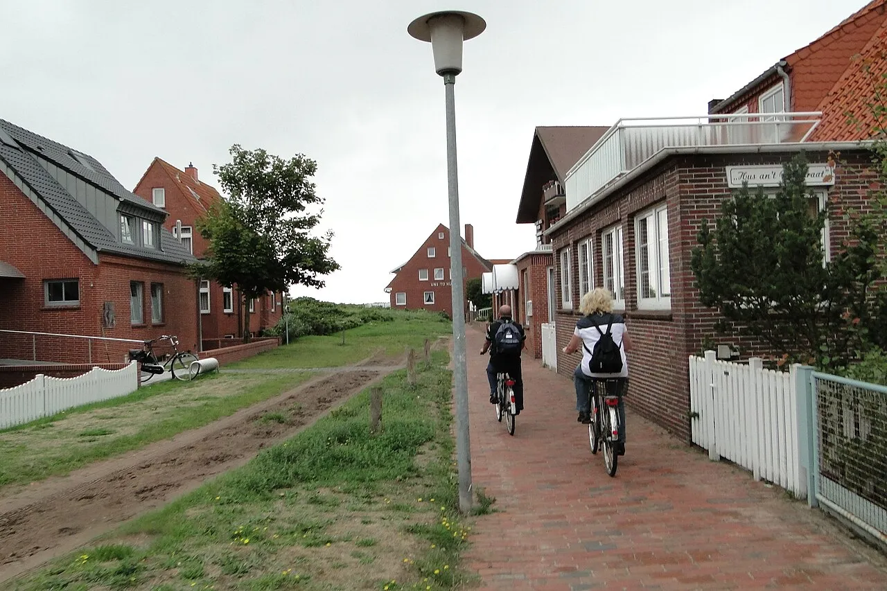 Active design principles transforming modern architecture and urban planning for better public health