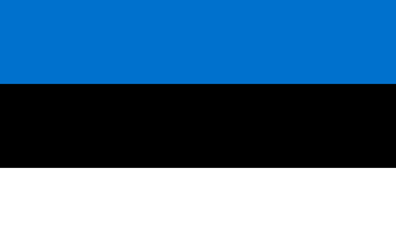 Estonia profile highlighting its rich Baltic history and advanced digital economy