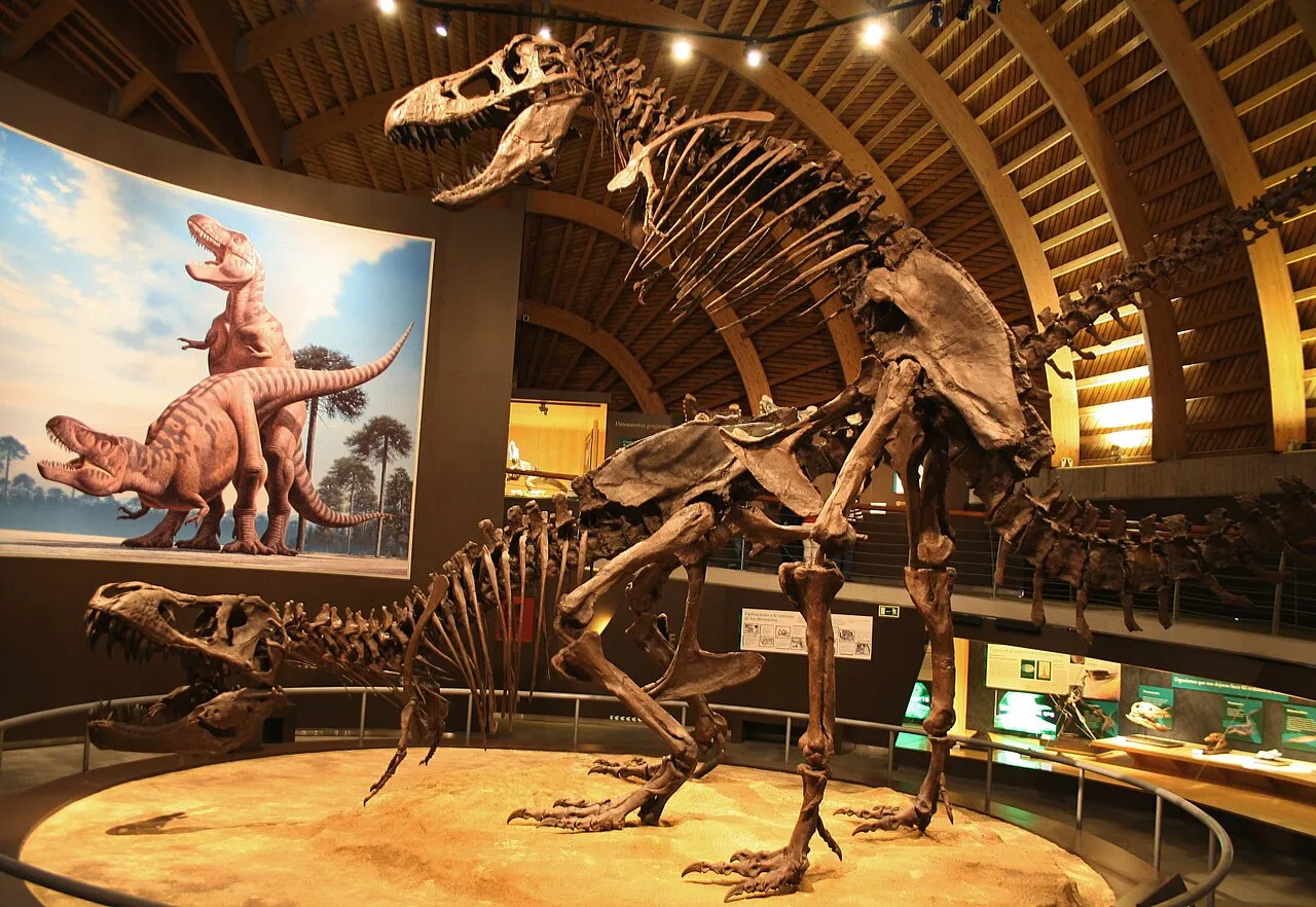 Exhibit design transforms physical spaces into immersive storytelling environments for modern audiences