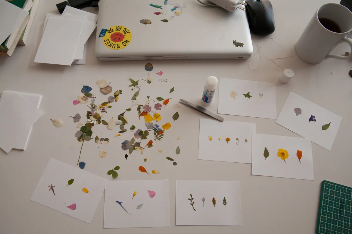 Oshibana pressed flower art showcases intricate botanical compositions and modern preservation techniques