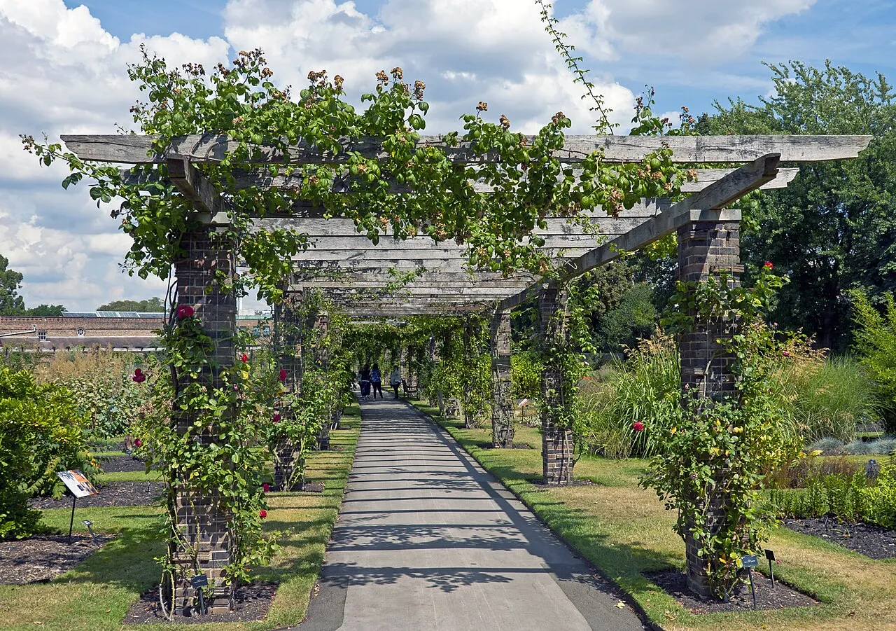 Pergola structures offer elegant shaded walkways and support for climbing plants in outdoor spaces