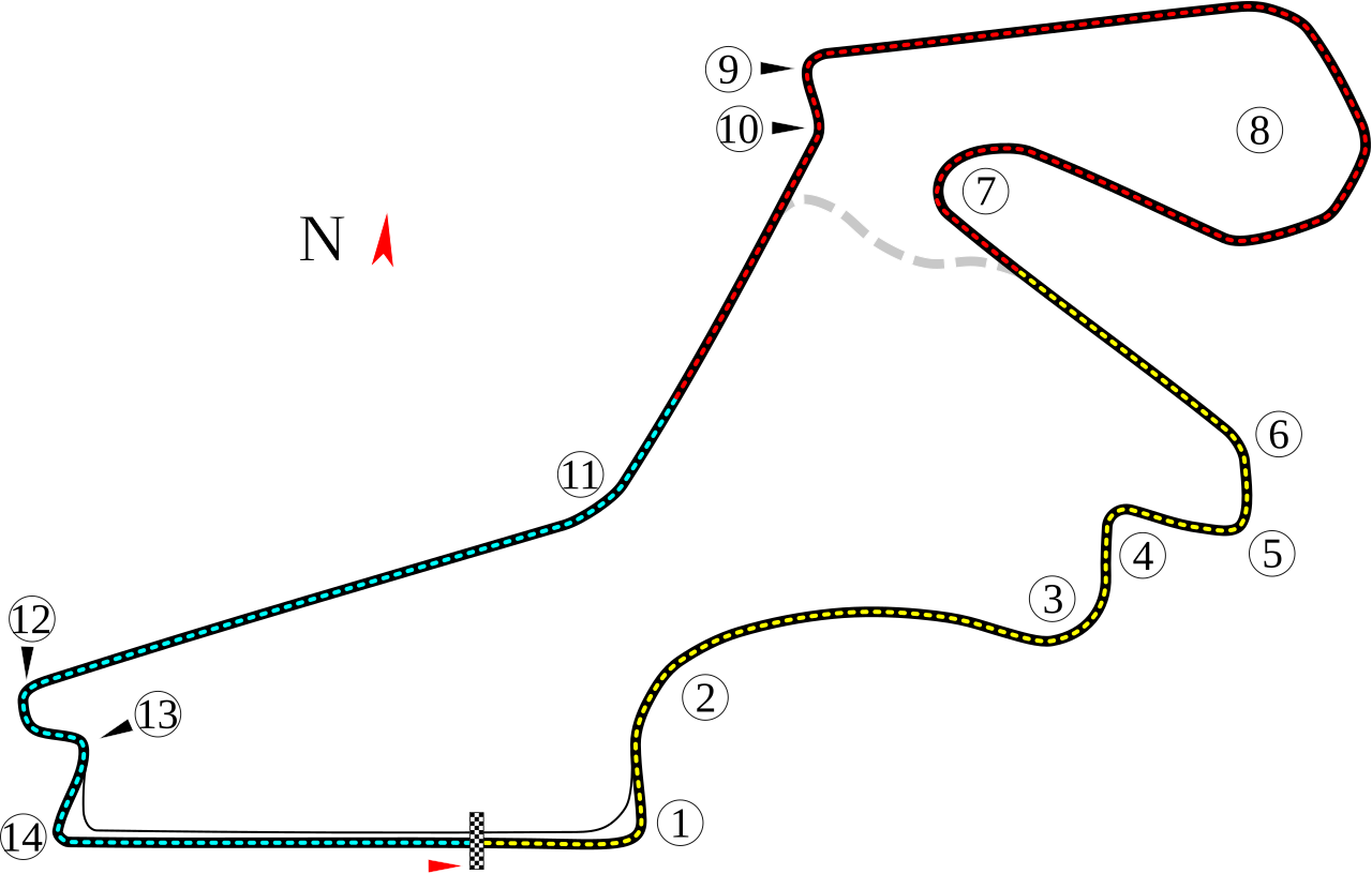 Sebastian Vettel celebrates victory at the 2011 Turkish Grand Prix at Istanbul Park