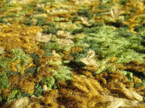 Shag carpet defined the bold interior design and retro aesthetic of the 1970s