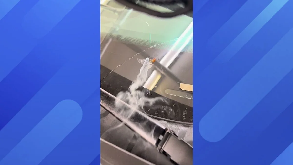 Viral Reddit video shows a car mechanic investigating a mysterious smoking windshield