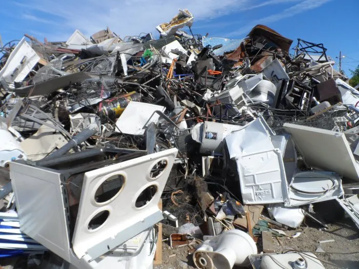 Zero waste movement gains traction worldwide as communities and industries embrace circular economy solutions